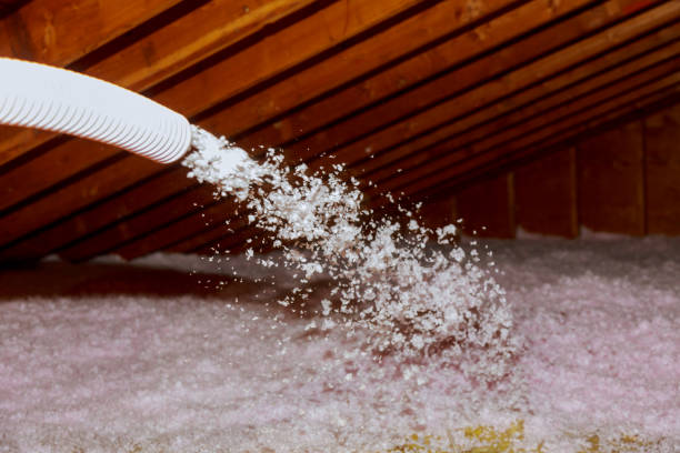 Best Professional Insulation Contractor  in Arcadia, WI