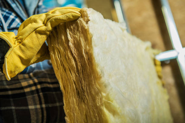 Insulation Contractors for Homes in Arcadia, WI