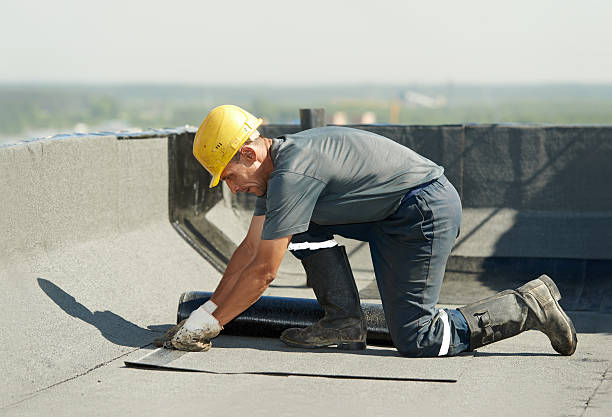 Best Wall Insulation Contractor  in Arcadia, WI