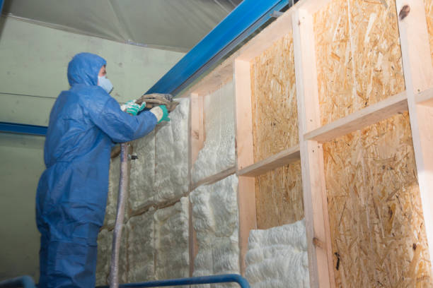 Best Spray Foam Insulation  in Arcadia, WI