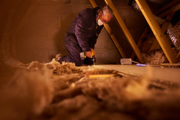 Best Local Insulation Services  in Arcadia, WI